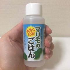 マリモのごはんの中古 未使用品を探そう メルカリ