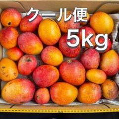 訳あり　ミニマンゴー　8,5kg クール便 沖縄県産 【訳あり】完熟アップルミニマンゴー5kg - メルカリ