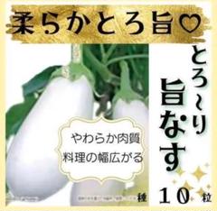 【超メルカリ市開催中！】高知県産ナス　10㎏(Mサイズ 約120本) 2025年最新】茄子の人気アイテム - メルカリ