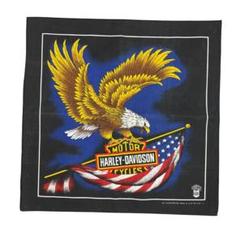 90s USA製 HARLEY-DAVIDSON キムタク私物同品 バンダナ 90s USA製 HARLEY-DAVIDSON キムタク私物同品 バンダナ - メルカリ