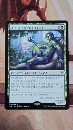 イリーシア木立のドライアド/Dryad of the ~ foil3枚セット プロモパックPR/THB】《イリーシア木立のドライアド/Dryad of