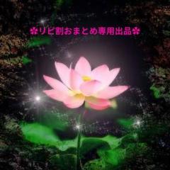 ご確認用出品❣