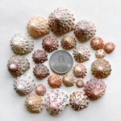 のら様 リクエスト 3点 まとめ商品 - メルカリ