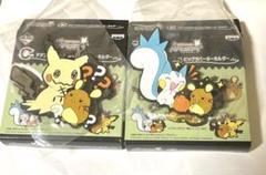 デデンネ2つセット「一番くじポケモンリサーチ～デデンネ」 C賞