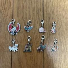 ポケモンメタルチャーム8個セット 四災&パラドックス - メルカリ