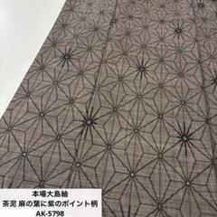 2025年最新】麻の葉大島紬の人気アイテム - メルカリ
