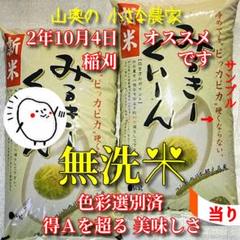 【超希少】ミルキークイーン 新米 特別栽培の玄米25Kg 「無洗米に精米」