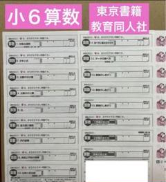 小学６年　算数　東京書籍　教育同人社　カラーテスト１７枚 小学6年 算数 東京書籍 教育同人社 カラーテスト17枚 小学6年生