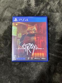 PS4 Stray 通常版