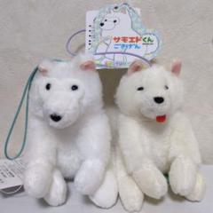 くったりサモエドくん VMCコンプリート ≪9月の新商品≫くったりサモエドくん-NEW ITEM！｜アミューズ