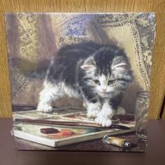 子猫のキャンバスアート