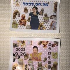 2025年最新】サバシスターの人気アイテム - メルカリ
