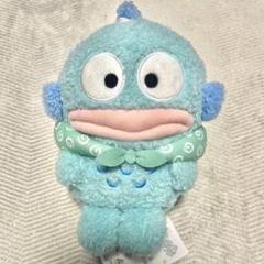 新品 おでかけ子ザメ×サンリオキャラクターズ ぬいぐるみ 6種類
