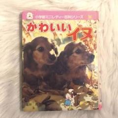 【 超SS級 お宝本 】ミニレディ百科 ㉚ かわいいイヌ