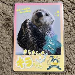 鳥羽水族館 コレクションカード キラちゃん 鳥羽水族館 コレクションカード キラちゃん - メルカリ