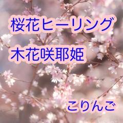 出雲國謹製勾玉使用 木花咲耶姫（枝桜）天然石ブレスレット内径約16cm 出雲國謹製勾玉使用 木花咲耶姫（枝桜）天然石ブレスレット内径