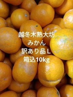 越冬木熟大坊みかん　秀品　Ｓサイズ  箱込み約10㌔ 40、みかん 樹熟大坊みかん、秀品(贈答品同様)4.5kgヴィンテ