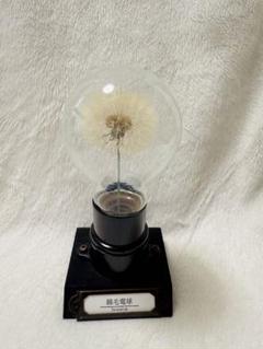 明星堂 綿毛電球 置物 ハンドメイド ドライフラワー 作家