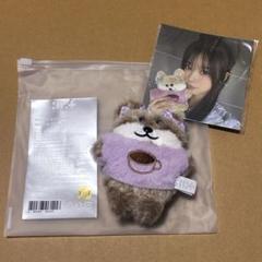 モカ　ぬいぐるみキーホルダー　1周年　ILLIT 6