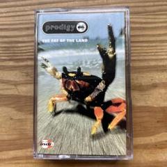 2025年最新】prodigy レコードの人気アイテム - メルカリ