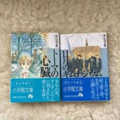 良品多数　萩尾望都　文庫版19冊セット 良品多数 萩尾望都 文庫版19冊セット