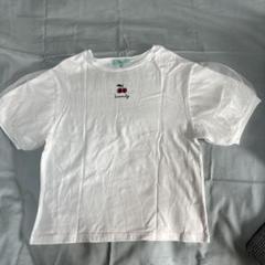 リンジィ　Ｔシャツ