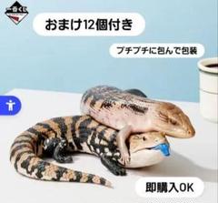 一番くじ　両生類&爬虫類　vol2 アオジタトカゲA賞　ラストワン賞 別売り可 おまけ付き 一番くじ 爬虫類＆両生類vol.2 ラストワン賞アオジタ