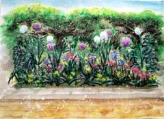 風の中のアリウム、彩りのフェンス　B5サイズ　原画　水彩画　クレヨン　花の絵