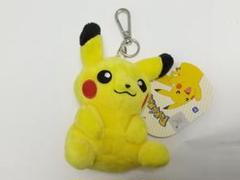 2025年最新】ピカチュウ 韓国 ぬいぐるみの人気アイテム - メルカリ