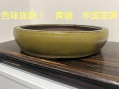 2025年最新】盆栽鉢 中国の人気アイテム - メルカリ