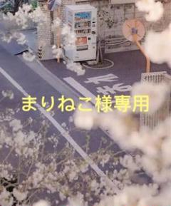 新品未開封LAVA SUKALA トラベルヨガマット ディズニー ミッキー