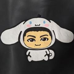 THE RAMPAGE - riku 青山陸 フェルト サンプル LDH ランペ THE RAMPAGE - 藤原樹 フェルト サンプル LDH ランペの通販 by