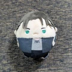 【今日の超目玉】 進撃の巨人 エレン メルカリ - ぬいぐるみ ふわコロりん その他