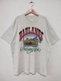 90s USA製 スーベニア バッドランズ国立公園 シングルステッチ Tシャツ