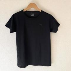 PUMA プーマ 半袖 ドライ Tシャツ 160サイズ