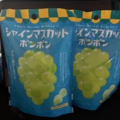 バラ売り可 シャインマスカットボンボン 8粒入り 2袋 - メルカリ