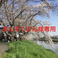 刀剣乱舞 華こよみ絵巻 和紙クリアファイル 髭切　A4 10枚セット