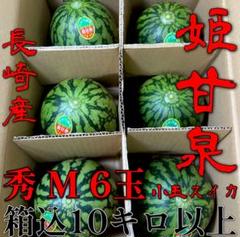 シャリっと！！甘くて♡美味しい♡ スイカ！！青秀品♡2L♡2玉♡箱込み15キロ♡ シャリっと！！甘くて♡美味しい！！スイカ♡優品♡2級品♡2玉
