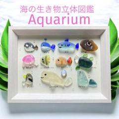 シーグラスアート⭐︎海の生き物図鑑　立体図鑑　海アート　水族館の仲間　贈り物