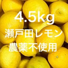 国産瀬戸田レモン7.5kg前後　まめだいふく様 国産瀬戸田レモン7.5kg前後まめだいふく様