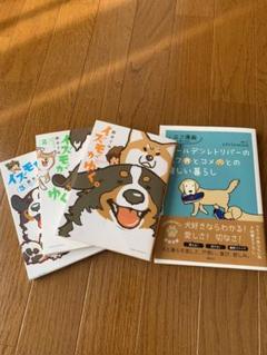 めぐみ マンガの中古 未使用品 メルカリ
