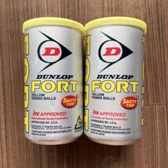 ダンロップフォート2球×20缶　未開封 DUNLOP FORT ダンロップ フォート 2球入缶 SDGS | ダンロップ