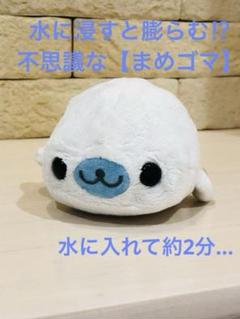 まめゴマ アクアリウム ぬいぐるみ XL ぬいぐるみ イルカ