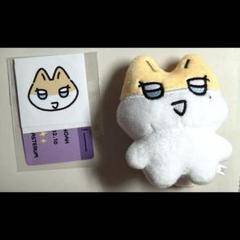 PLAVE ノア　13cm ぬいぐるみ　新品　マスター PLAVE NOAH ノア ぬいぐるみ PPIA いたい 삐아