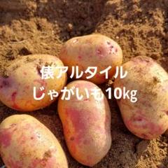 プロフィール必読！！！俵アルタイル彦星じゃがいも小　20㎏ 長崎県産俵アルタイル彦星じゃがいも10㎏ - メルカリ