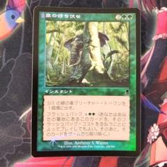 MTG foil 待ち伏せ隊長、ムンダ EX+]激しい叱責/Dress Down《日本語》【MH2】