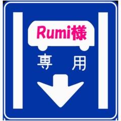 Rumi様専用 ライト635 A987