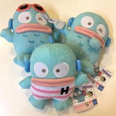 ハンギョドン プラスチックケース(年代物・レア品)※6/6限定値下げ キャラクターグッズ,サンリオキャラクターズ,サンリオ