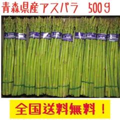青森県 グリーンアスパラ S~Mサイズ 500g 全国送料無料!(5)