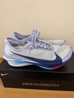 NIKE ストリークフライ2 27cm